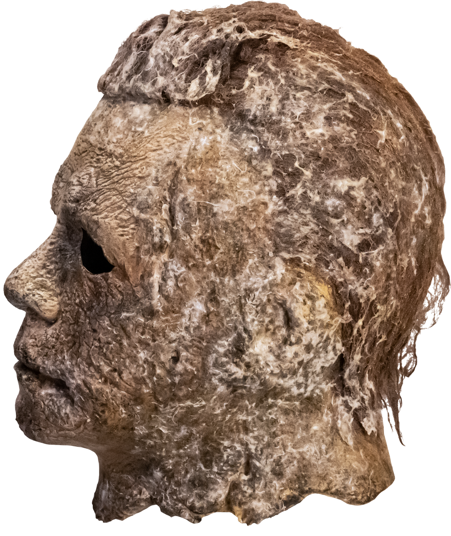 HALLOWEEN ENDS - Michael Myers Mask